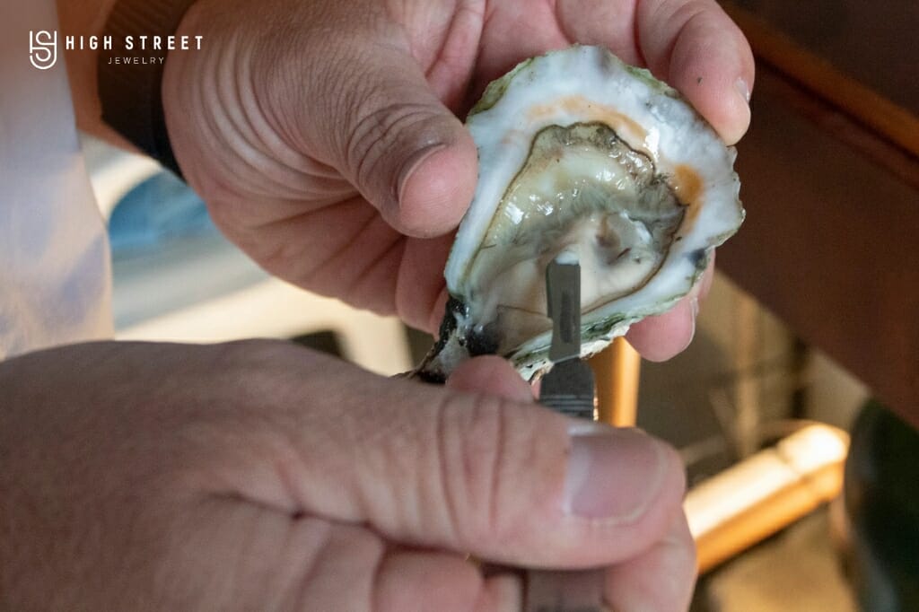 Man using a tool for farming cultured pearls